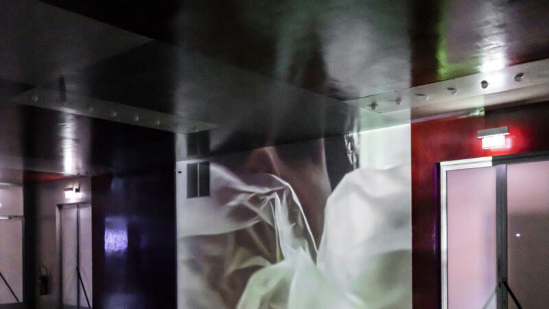 14–28 Feb 2025: Venice Experimental Video and Performing Art Festival