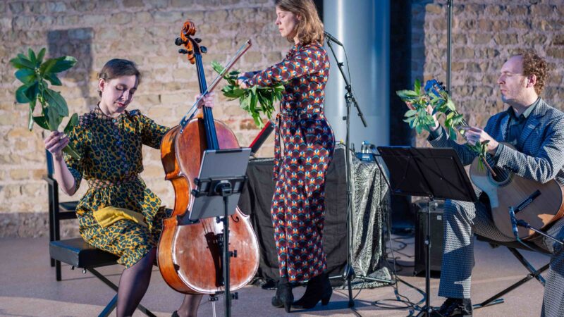 14 Feb 2026: Trio Karawane